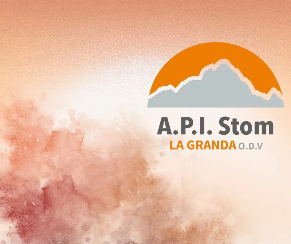 Logo Apistom copn nube rosa